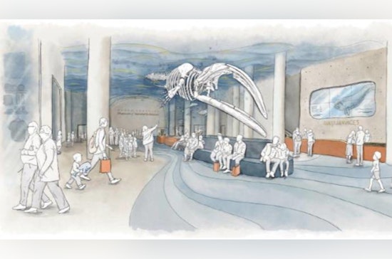Wake Forest Snags County Cash As Long‑Planned Skate Park Inches Toward Reality