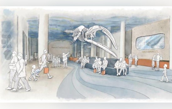 Wake Forest Snags County Cash As Long‑Planned Skate Park Inches Toward Reality