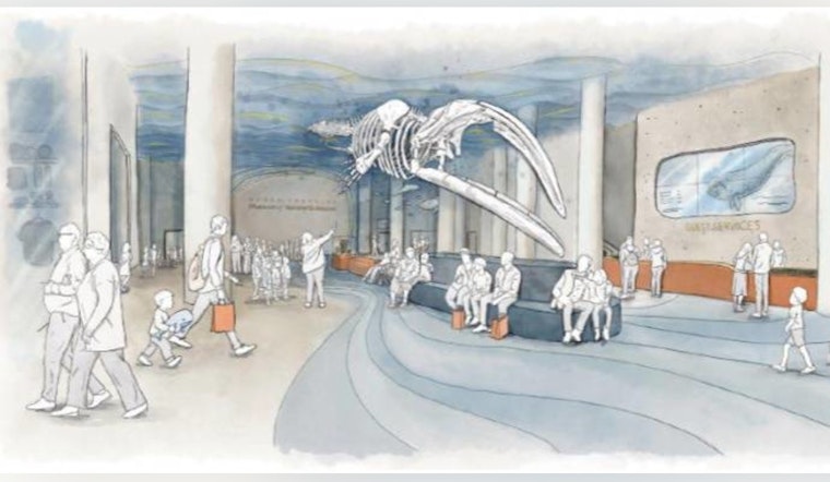 Wake Forest Snags County Cash As Long‑Planned Skate Park Inches Toward Reality