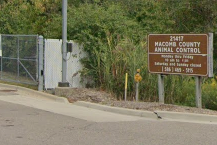 Warren ‘House Of Horrors’ Busted After 20 Dogs, 4 Turtles Seized