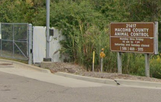 Warren ‘House Of Horrors’ Busted After 20 Dogs, 4 Turtles Seized