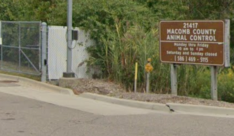 Warren ‘House Of Horrors’ Busted After 20 Dogs, 4 Turtles Seized