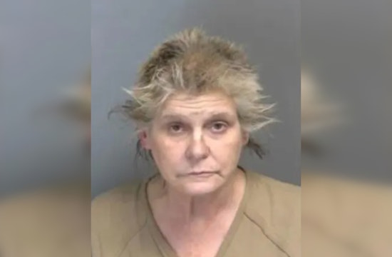 Warren Woman Charged with Animal Cruelty and Drug Possession After Rescue of 20 Dogs and Turtles from 'Deplorable' Home