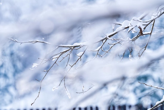 Washington, D.C. Braces for Potential Snowfall as National Weather Service Issues Advisory for Chesapeake Bay and Surrounding Regions