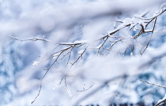 Washington, D.C. Braces for Potential Snowfall as National Weather Service Issues Advisory for Chesapeake Bay and Surrounding Regions