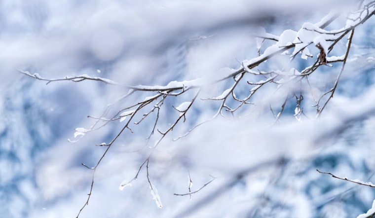 Washington, D.C. Braces for Potential Snowfall as National Weather Service Issues Advisory for Chesapeake Bay and Surrounding Regions