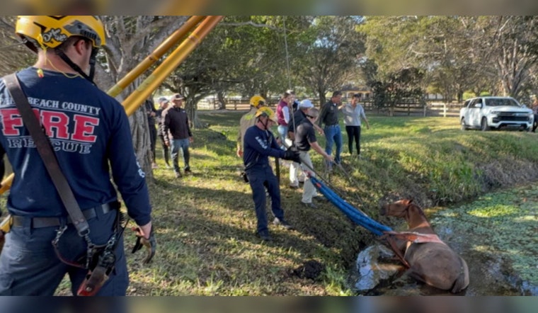 Wellington Horse Rescued from Muddy Canal by Palm Beach County Firefighters