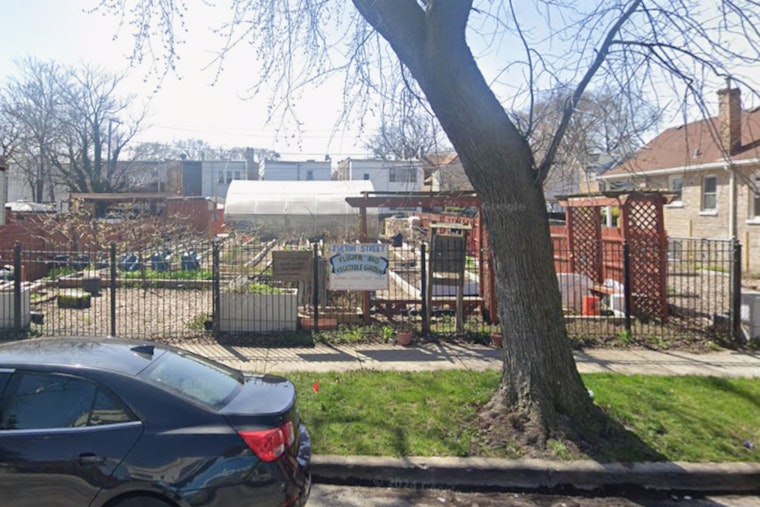 West Garfield Park Garden Army Takes On Chicago's 20-Year Life Gap