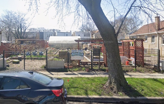 West Garfield Park Garden Army Takes On Chicago's 20-Year Life Gap