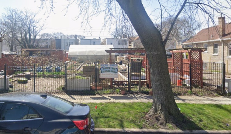 West Garfield Park Garden Army Takes On Chicago's 20-Year Life Gap