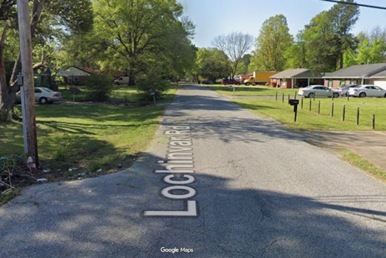 Whitehaven Eviction Uncovers 17 Dead Animals in Memphis