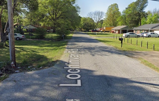 Whitehaven Eviction Uncovers 17 Dead Animals in Memphis