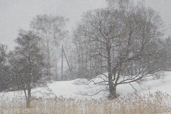 Whiteout Blizzard Hammers Boston As Coastal Flood Threat Looms