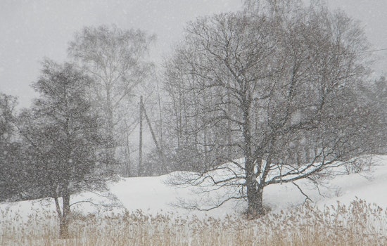 Whiteout Blizzard Hammers Boston As Coastal Flood Threat Looms