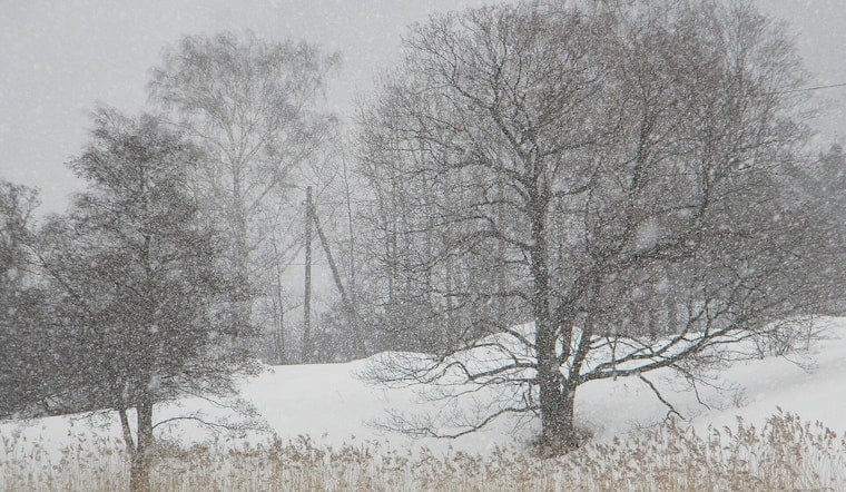 Whiteout Blizzard Hammers Boston As Coastal Flood Threat Looms