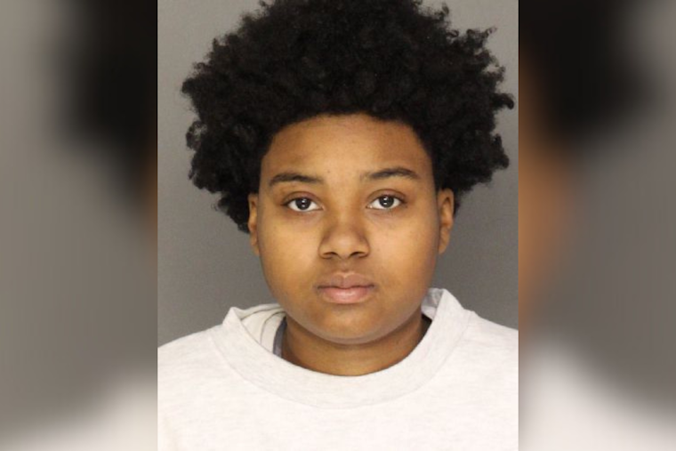 Wild McKees Rocks Chase Ends in North Side Yard Crash and Arrest