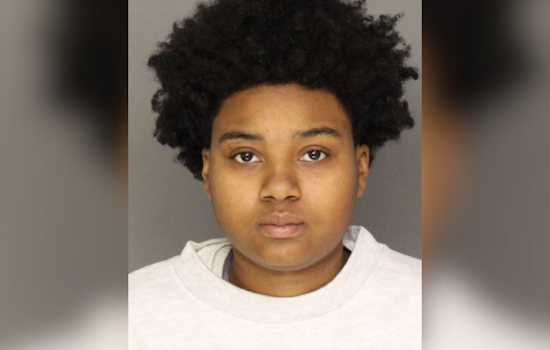 Wild McKees Rocks Chase Ends in North Side Yard Crash and Arrest