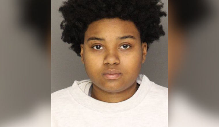 Wild McKees Rocks Chase Ends in North Side Yard Crash and Arrest