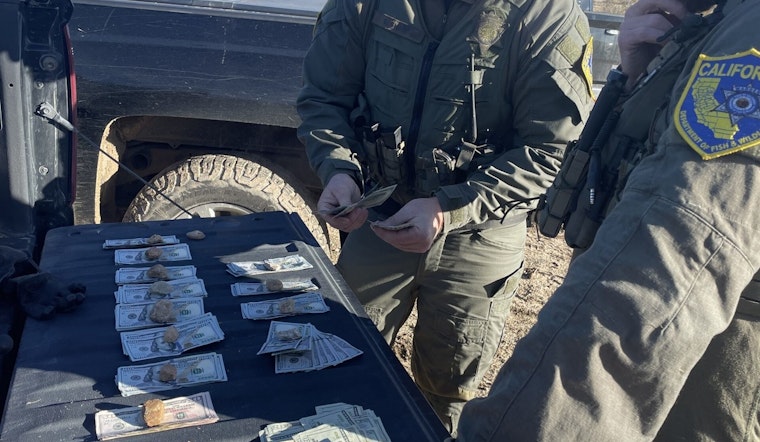 Wildlife Cops Help Bust Big Meth Lab Hidden in Kern and L.A. Pot Grows
