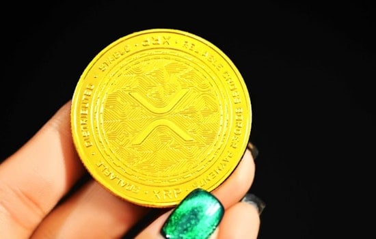 XRP Gold Rush Hits Bay Area As SEC ETF Wave Rolls In
