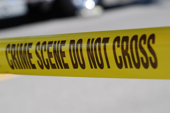 Zephyrhills Senior Struck Dead in Late-Night 5th Avenue Dash