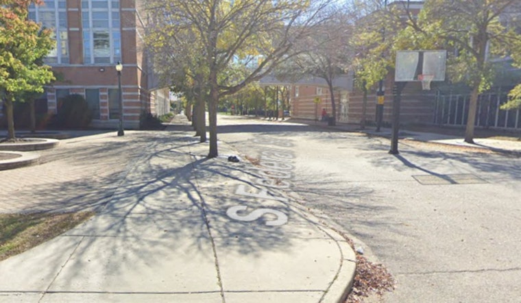 11-Year-Old Assaulted Near National Teachers Academy Chicago