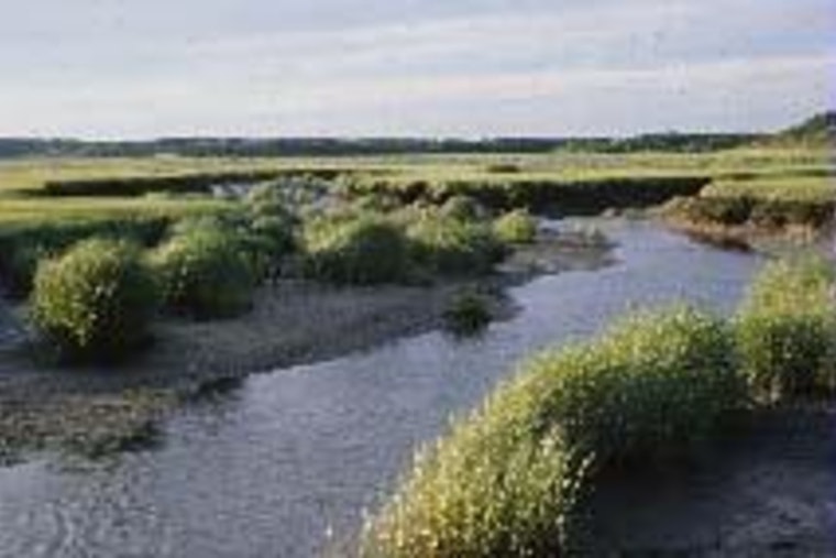 Wellfleet Harbor Kayak Horror, 22-Year-Old Dies After Nighttime Capsize
