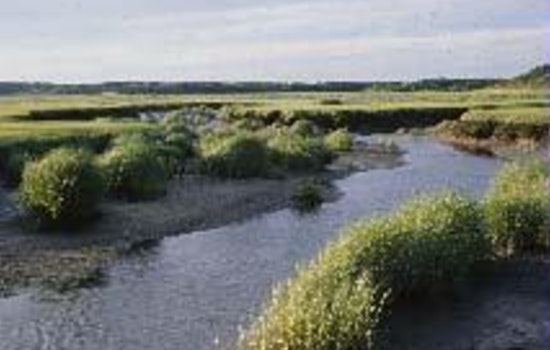 Wellfleet Harbor Kayak Horror, 22-Year-Old Dies After Nighttime Capsize