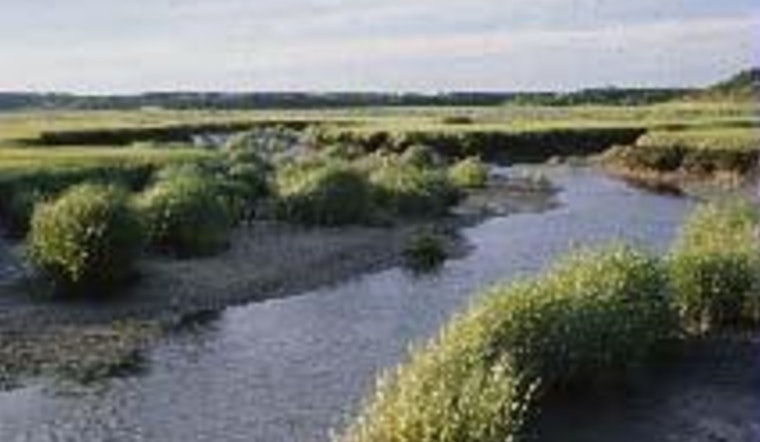 Wellfleet Harbor Kayak Horror, 22-Year-Old Dies After Nighttime Capsize
