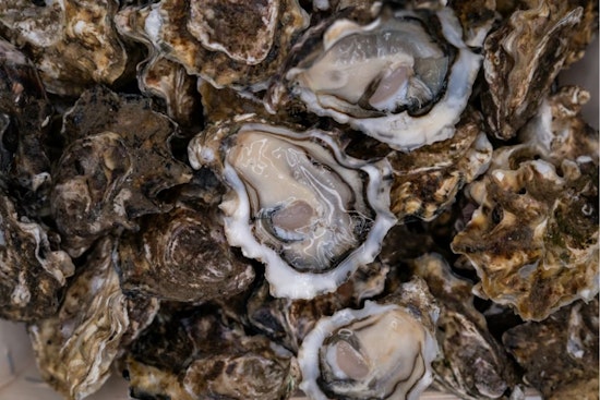 Ace Seafood Takes Over Temescal Oyster Bar, Bets On Patio Crowd