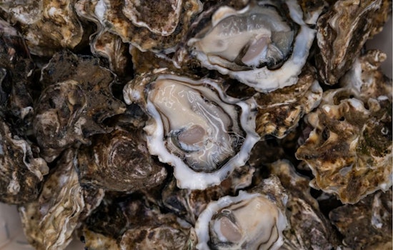 Ace Seafood Takes Over Temescal Oyster Bar, Bets On Patio Crowd