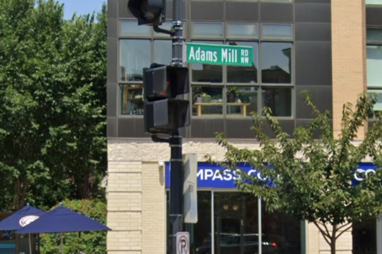 Adams Morgan’s New Rye Bunny Hops In With Michelin Cred And Counter