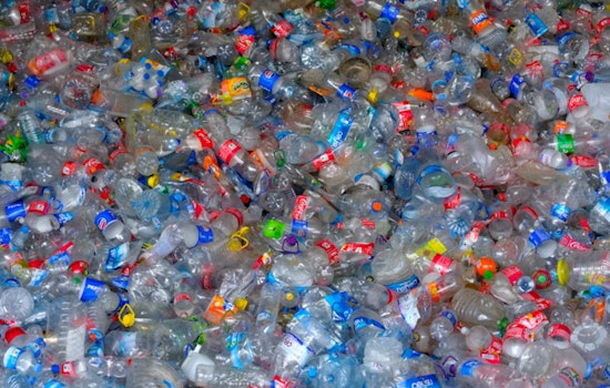 Albany’s Nickel Shake-Up: New Yorkers Could Soon Cash In A Dime A Bottle