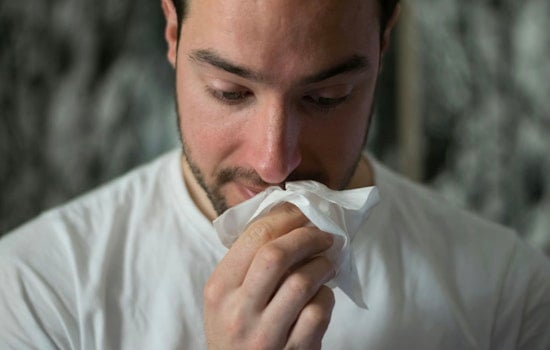Allergy Scare Yanks Junebar Snacks Off New York Shelves