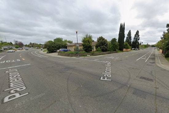 Antelope Hit-and-Run Horror: Driver Mows Down Two Out Walking Dog