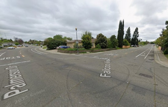 Antelope Hit-and-Run Horror: Driver Mows Down Two Out Walking Dog