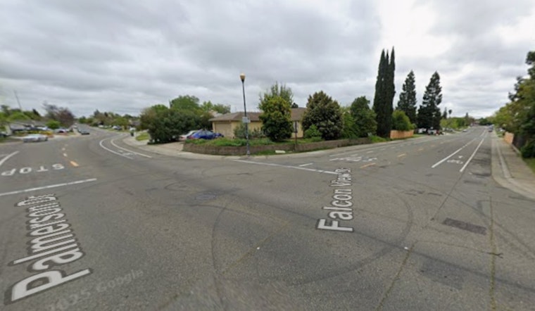 Antelope Hit-and-Run Horror: Driver Mows Down Two Out Walking Dog
