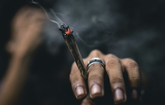 Lancet Review Finds Cannabis Unlikely To Ease Anxiety