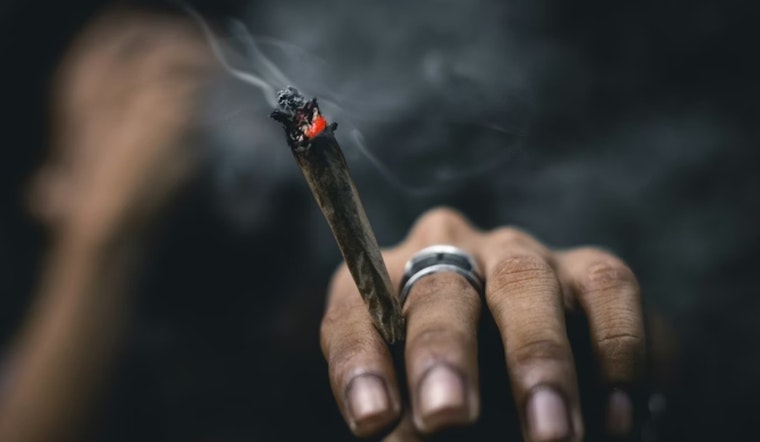 Lancet Review Finds Cannabis Unlikely To Ease Anxiety
