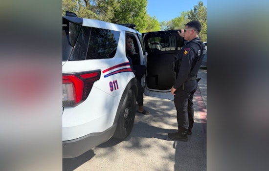 Armed Woman Nabbed On Cypresswood As Spring Deputies Swoop In