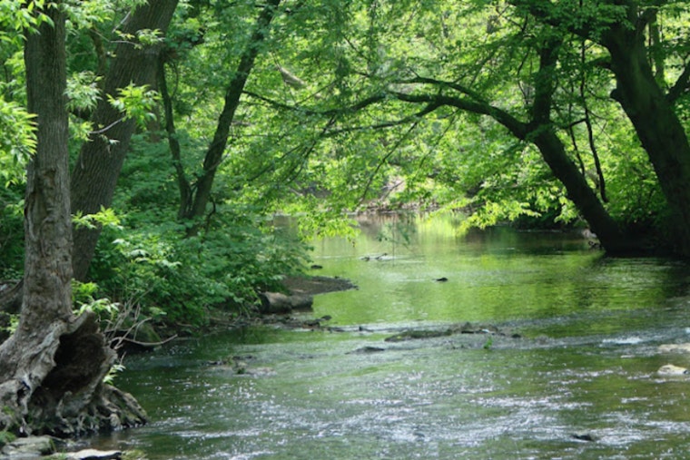 Army Corps Shrinks Eastwick Levee, Stirs New Flood Fears In Southwest Philly