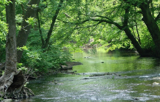 Army Corps Shrinks Eastwick Levee, Stirs New Flood Fears In Southwest Philly