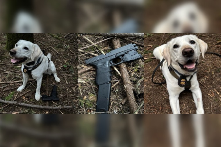 ATF Dog Sniffs Out Pistol After Gunfire Erupts at Rural Hillsboro Teen Rager