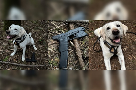 ATF Dog Sniffs Out Pistol After Gunfire Erupts at Rural Hillsboro Teen Rager