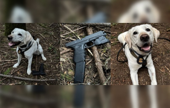 ATF Dog Sniffs Out Pistol After Gunfire Erupts at Rural Hillsboro Teen Rager