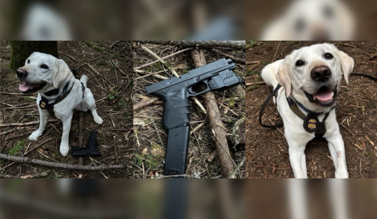 ATF Dog Sniffs Out Pistol After Gunfire Erupts at Rural Hillsboro Teen Rager