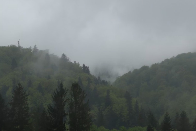 Atlanta Wakes In A Fog Then Bakes In A Spring Tease