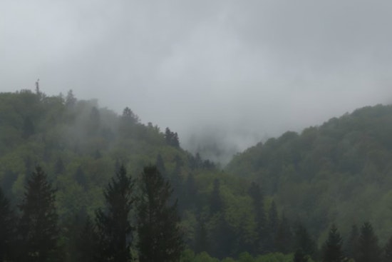 Atlanta Wakes In A Fog Then Bakes In A Spring Tease