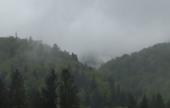 Atlanta Wakes In A Fog Then Bakes In A Spring Tease