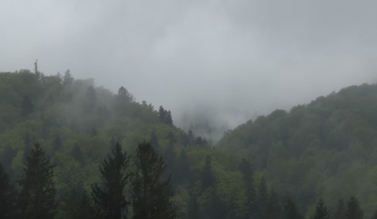 Atlanta Wakes In A Fog Then Bakes In A Spring Tease